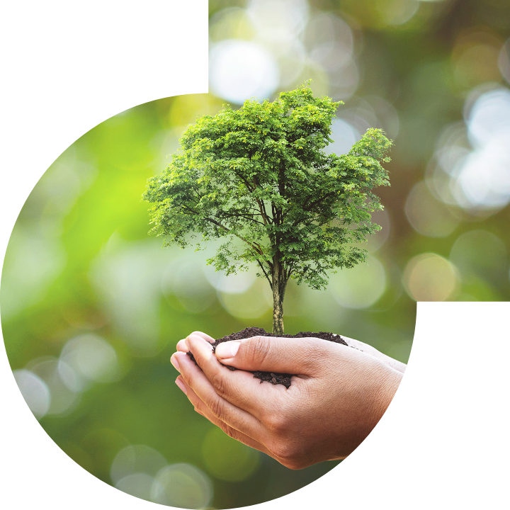 关怀人类、文化、环境与社会